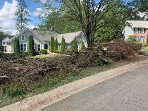 Before & After Tree Services in Woodstock, GA (1)