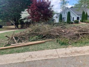 Before & After Tree Services in Woodstock, GA (2)