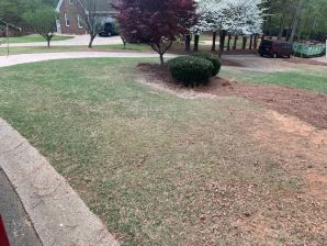 Before & After Tree Services in Woodstock, GA (4)