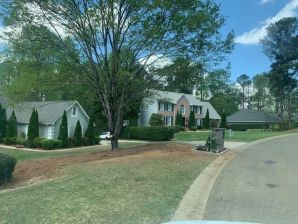 Before & After Tree Services in Woodstock, GA (6)